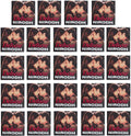 DELUXE Nirodh Lubricated Condoms (Pack of 120) - Secret Delivery